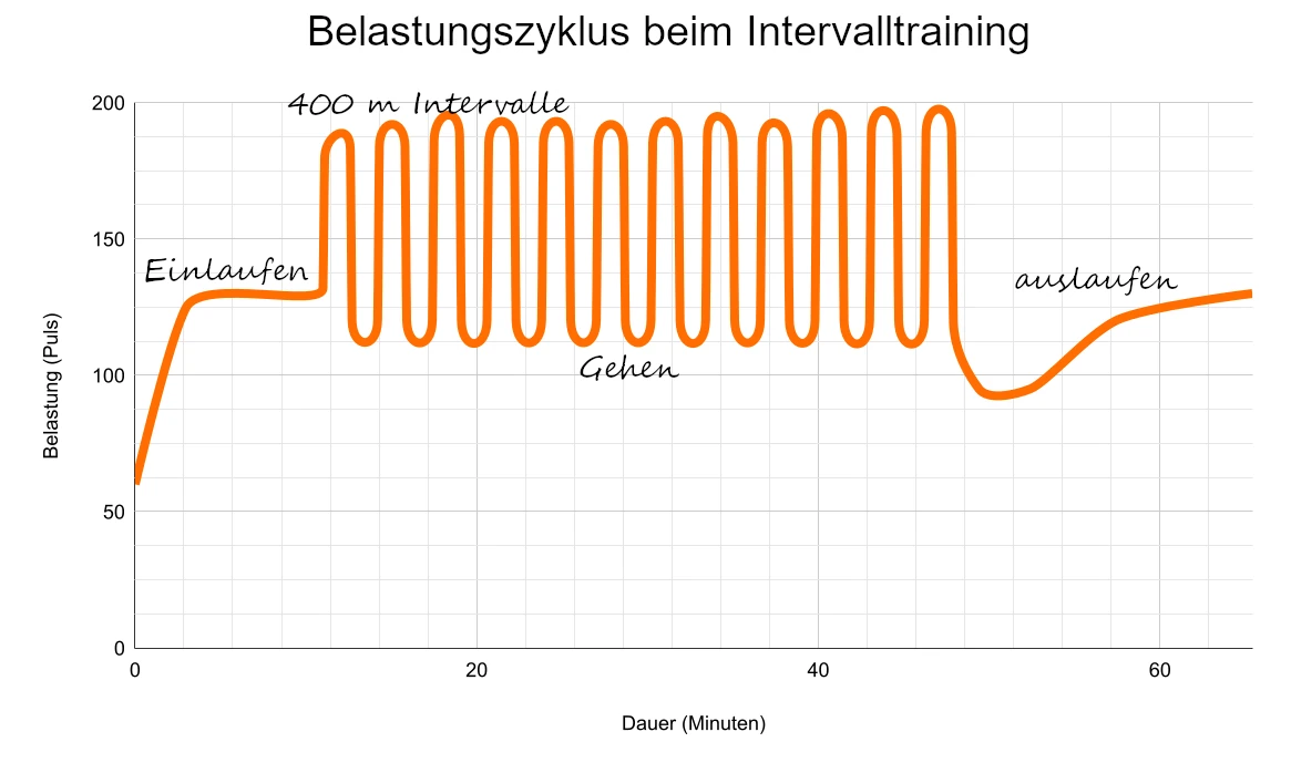 Belastungszyklus beim Intervalltraining